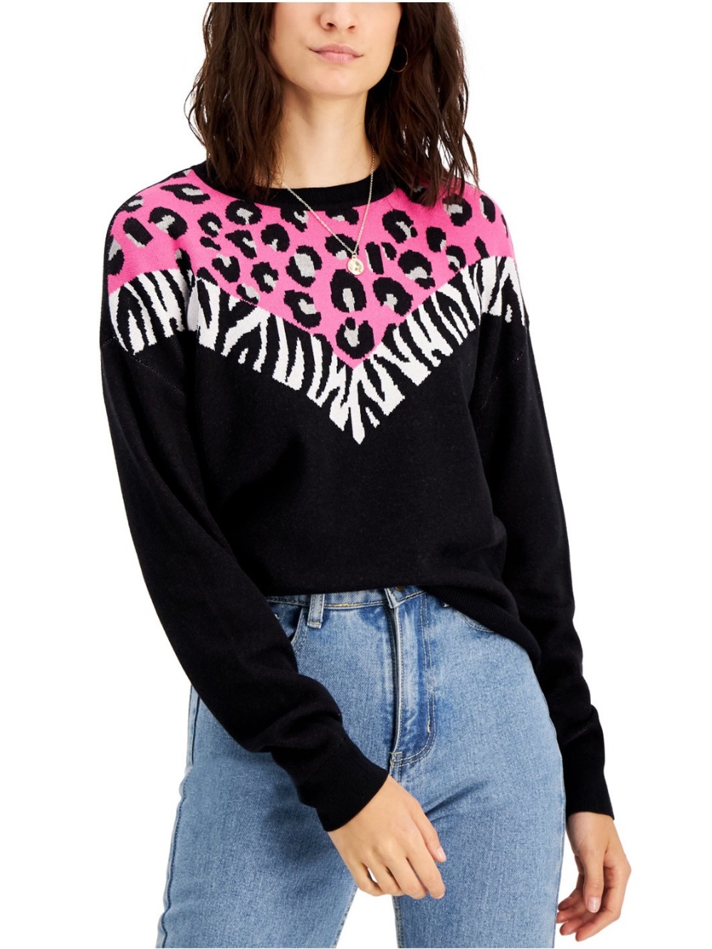 Bar III Anima Print Sweater